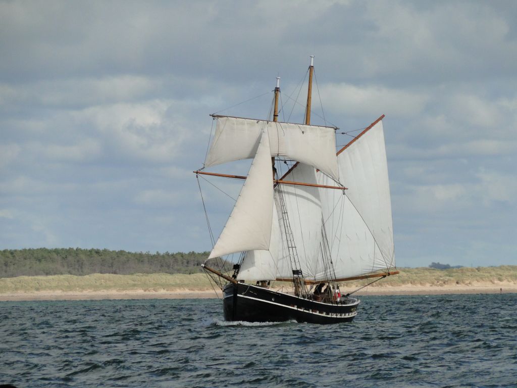 Vilma